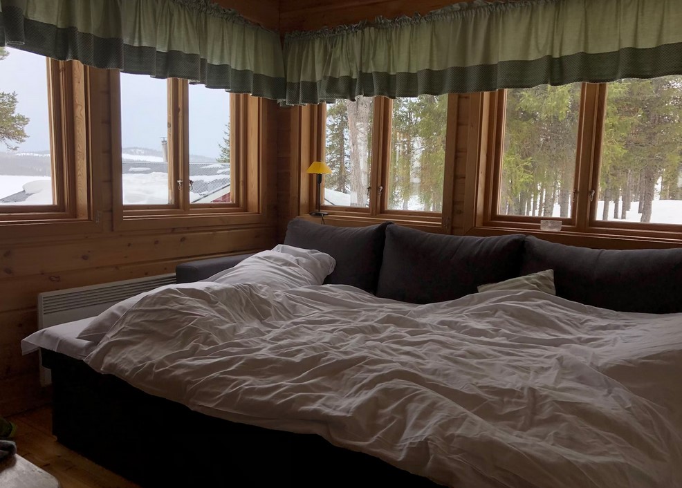 Cozy room with wooden walls and a sofa bed during the winter season