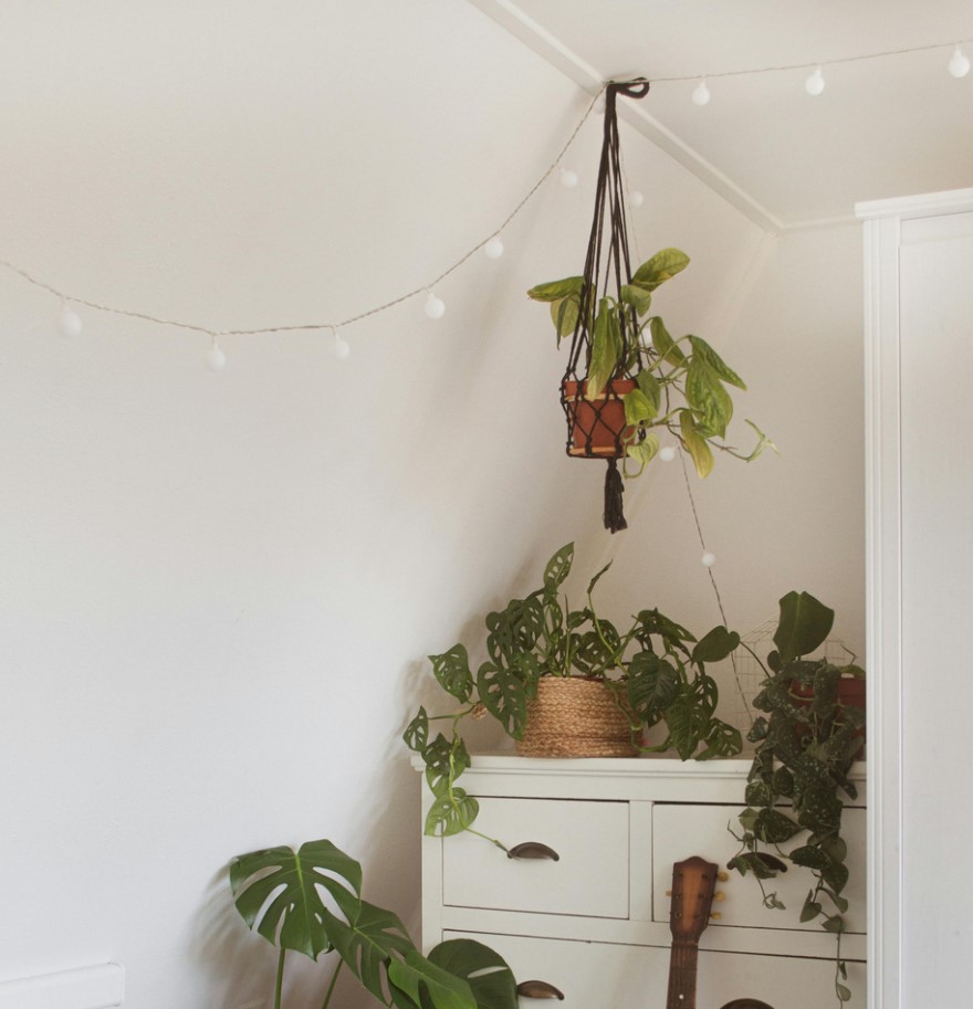 Room with a hanging plant, white drawers with more plant decorations, hanging lights during the day