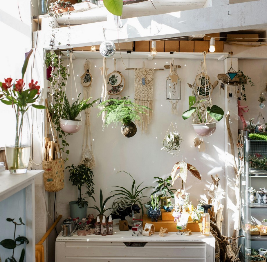 Wall and ceiling hanging decorations, during the day, with chest of drawers
