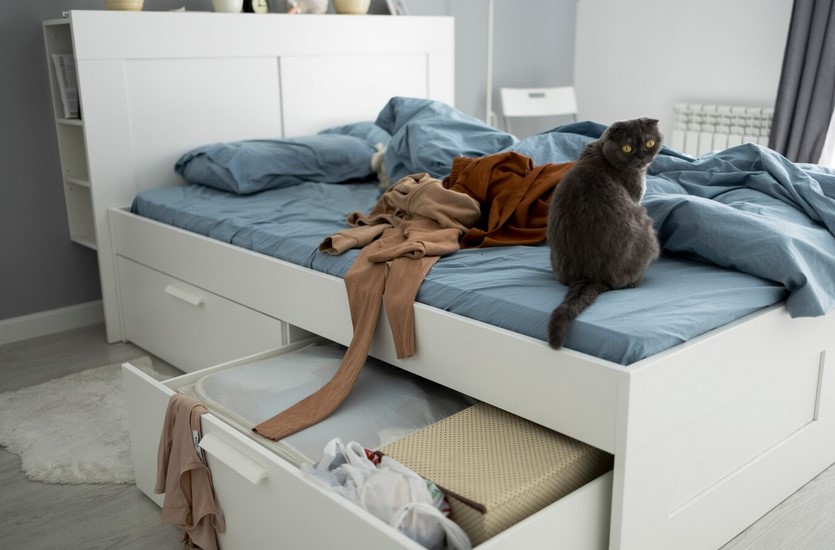 A grey cat sitting on a modern bed, messy bed with under bed storage